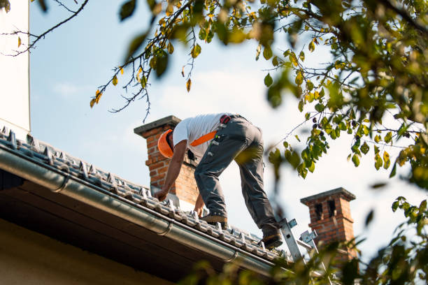 Best New Roof Installation  in Wild Peach Village, TX