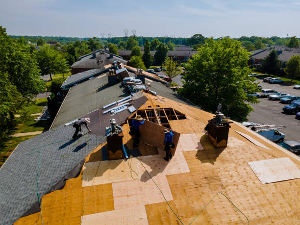 Best Commercial Roofing Services  in Wild Peach Village, TX