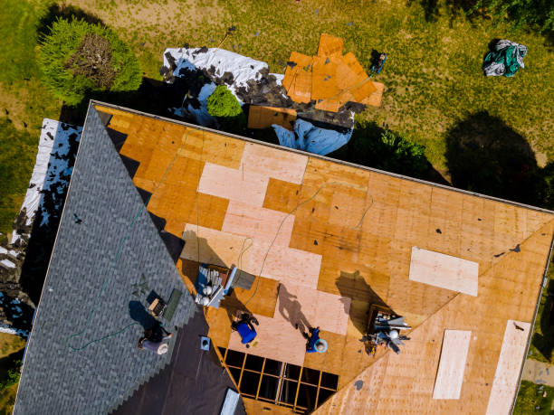 Best Gutter Installation and Roofing  in Wild Peach Village, TX
