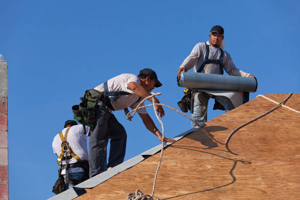 Best Gutter Installation and Roofing  in Wild Peach Village, TX
