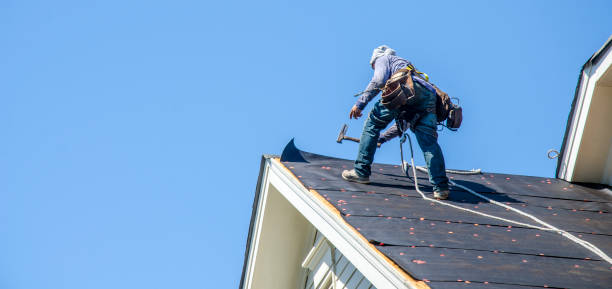 Best Roof Waterproofing Services  in Wild Peach Village, TX
